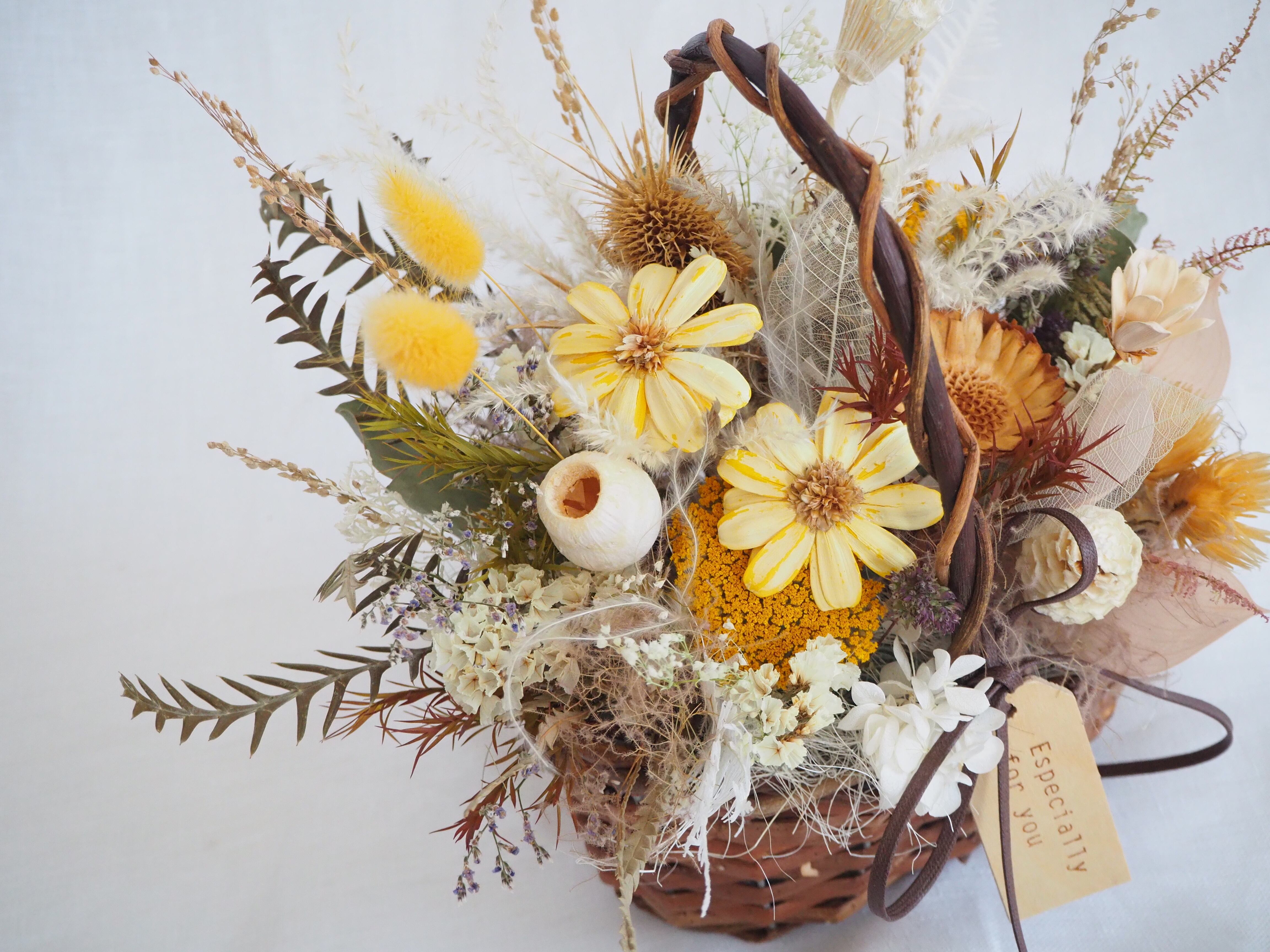 専用感謝sale＊パンパスツリーのジャンボドライボトル＆コットンのブリキアレンジ 見頃のパンパスをインドアで楽しむアレンジメント｜Fla-co（フラコ