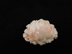 ボケ珊瑚の帯留 (牡丹)Boke coral obi sash clip