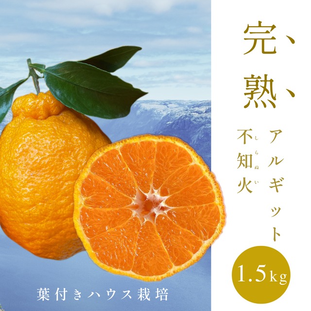 樹上完熟アルギット不知火(ハウス栽培)約1.5kg 葉付き 【3月下旬から順次発送予定】