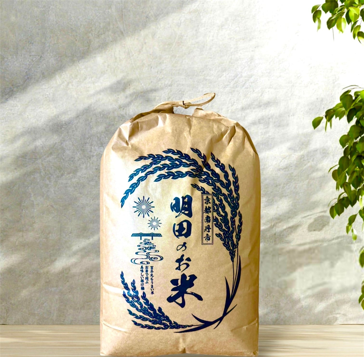 令和7年度 キヌヒカリ 玄米 30kg 農家直販・直送 | Pay ID