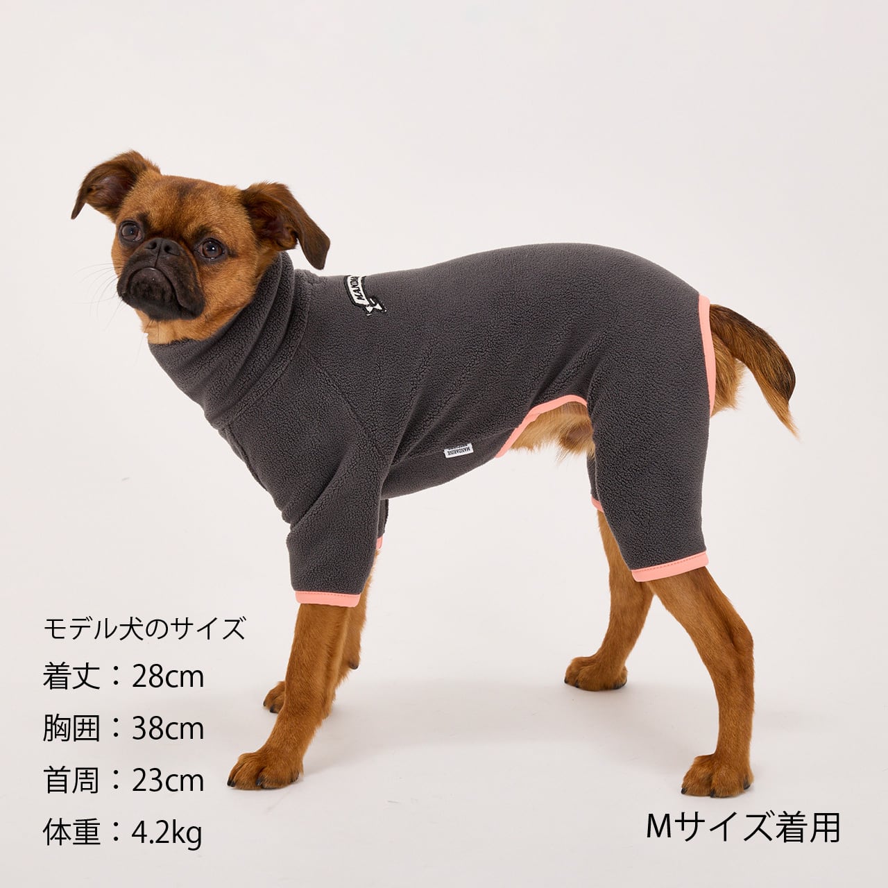 FRAME LOGO BOA SUIT（XL.XXL.3L）フレームロゴボアスーツ | MANDARINE