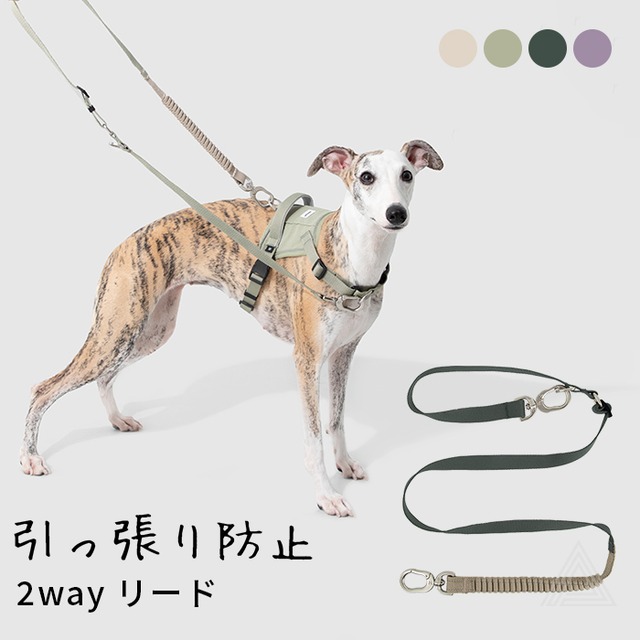 【HD029008】犬 リード 引っ張り防止 衝撃吸収 しっかり 長さ調整可能 一時係留 フレブル フレンチブルドッグ 小型犬 中型犬 全4色 犬用 散歩用リード 丈夫 軽量 シンプル チワワ トイプードル マルチーズ テープ型 【HiDREAM】