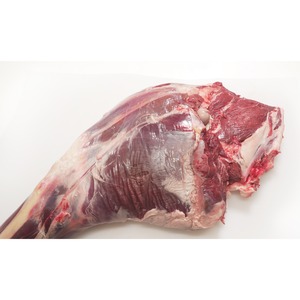 【シカ肉】後脚一本（骨付）