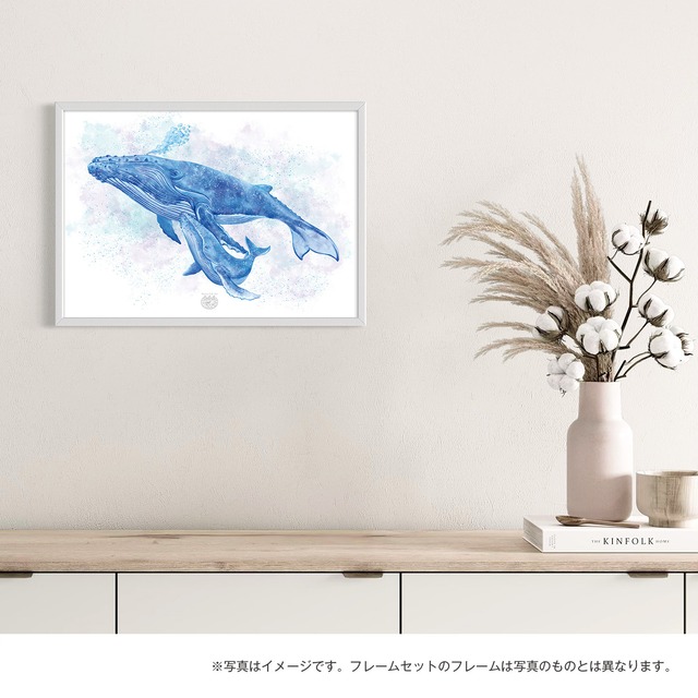 【海のいきものアートポスター／海洋哺乳類】ザトウクジラ