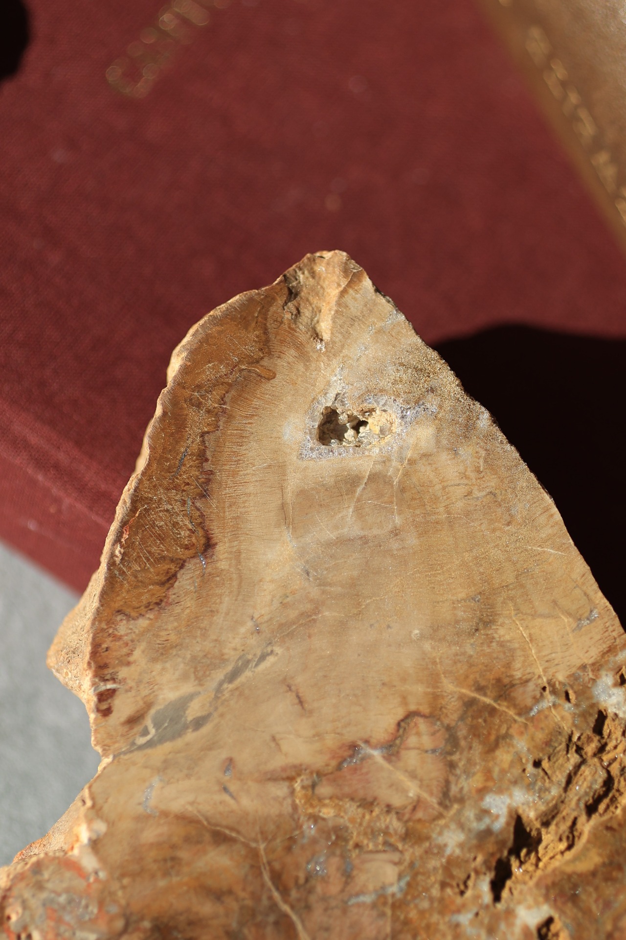 ペトリファイドウッド プレート |  Petrified Wood Plate ◇ 天然石・鉱物・パワーストーン | st00408