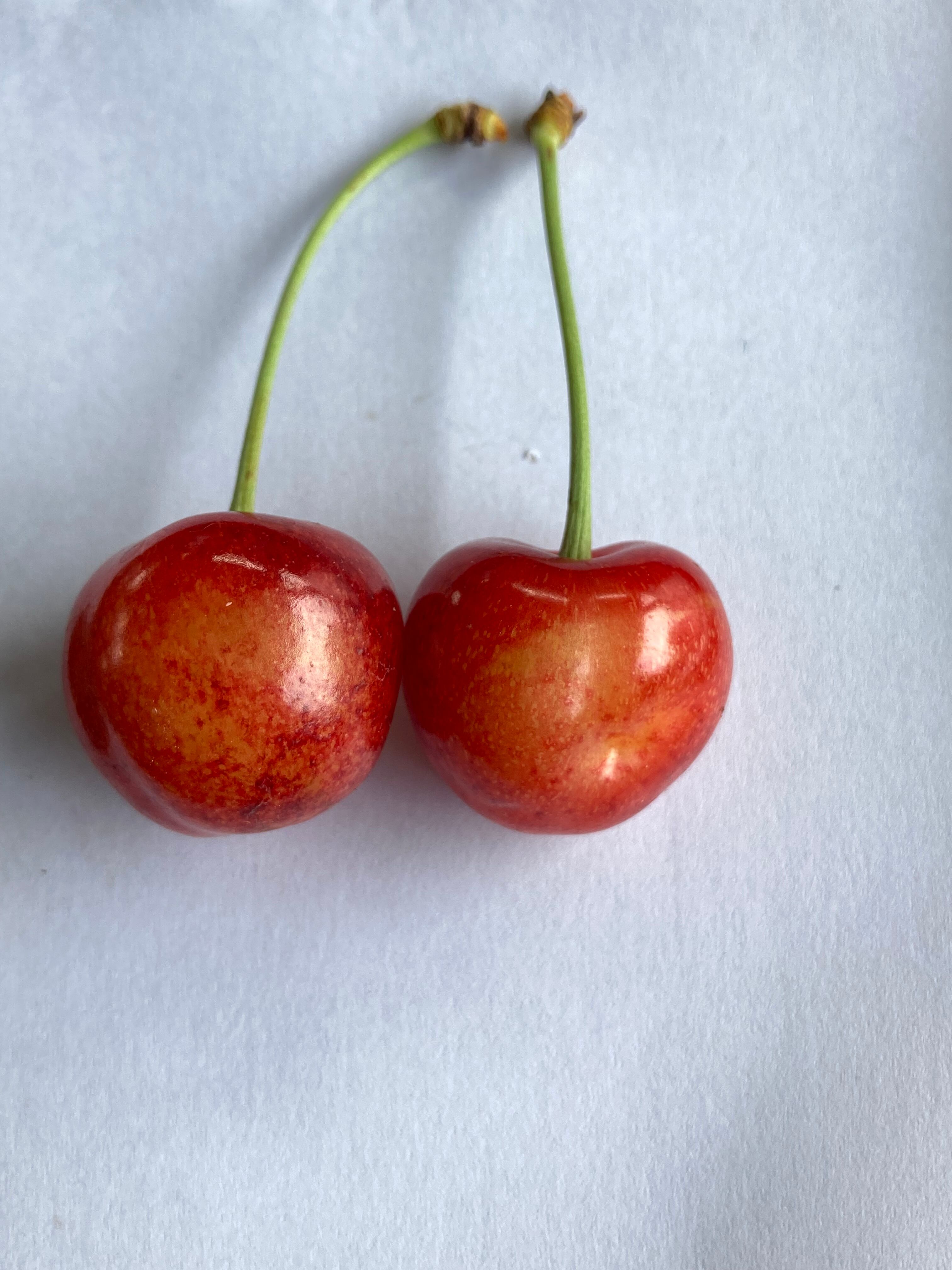 甘くて！大きい！訳あり「紅秀峰」バラ詰め 500g