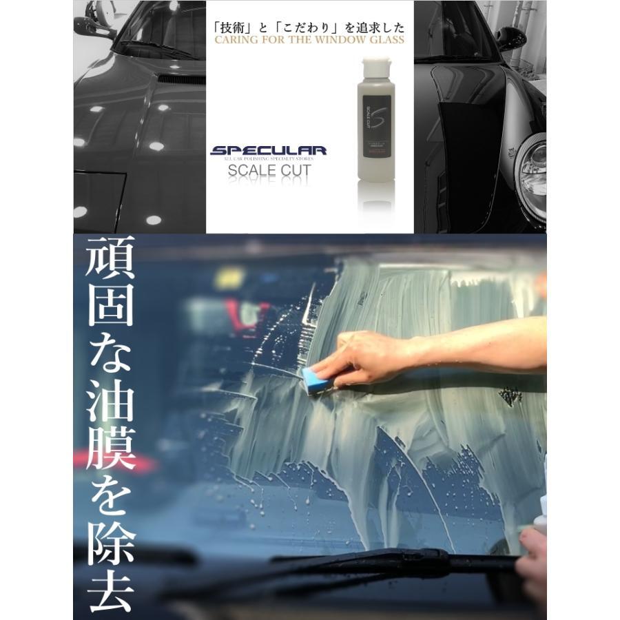強力油膜 ウロコ 除去クリーナー SPECULAR スケールカット SCALE CUT 100ml スペキュラー