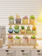 【木製 インテリア ディスプレイラック】無垢材 多肉植物 香水 コスメ フィギュア アクリルスタンド アクスタ ぬいぐるみ オタ活 装飾 卓上 北欧スタイル ３種類 多機能