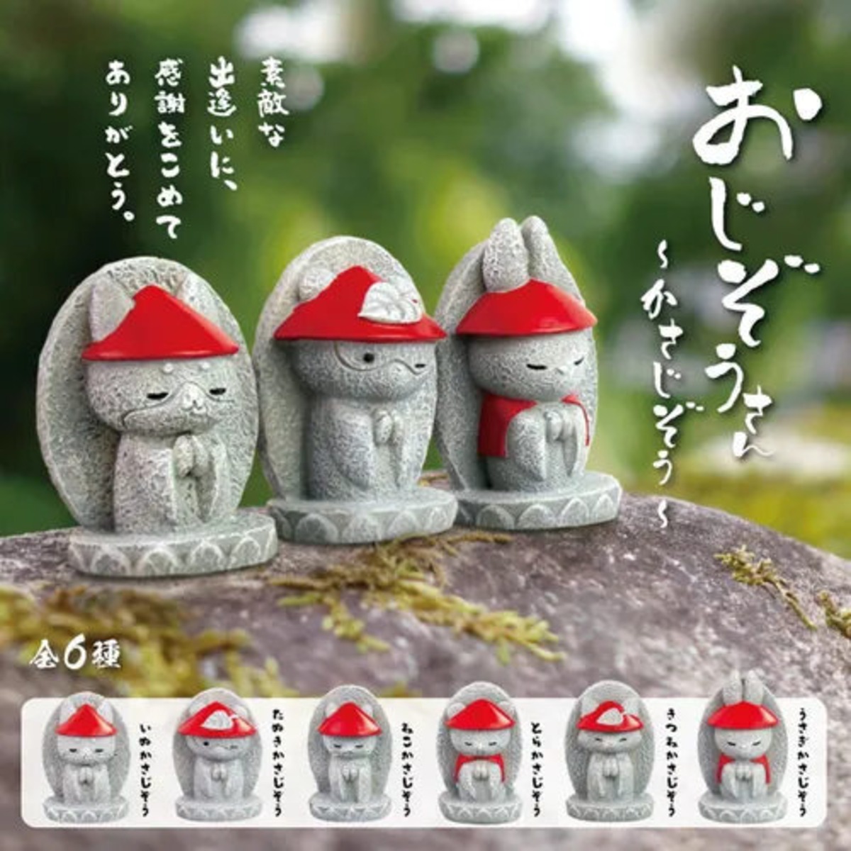 はなぞう様千の風になってドラマスペシャル ゾウのはな子 | HMV&BOOKS 
