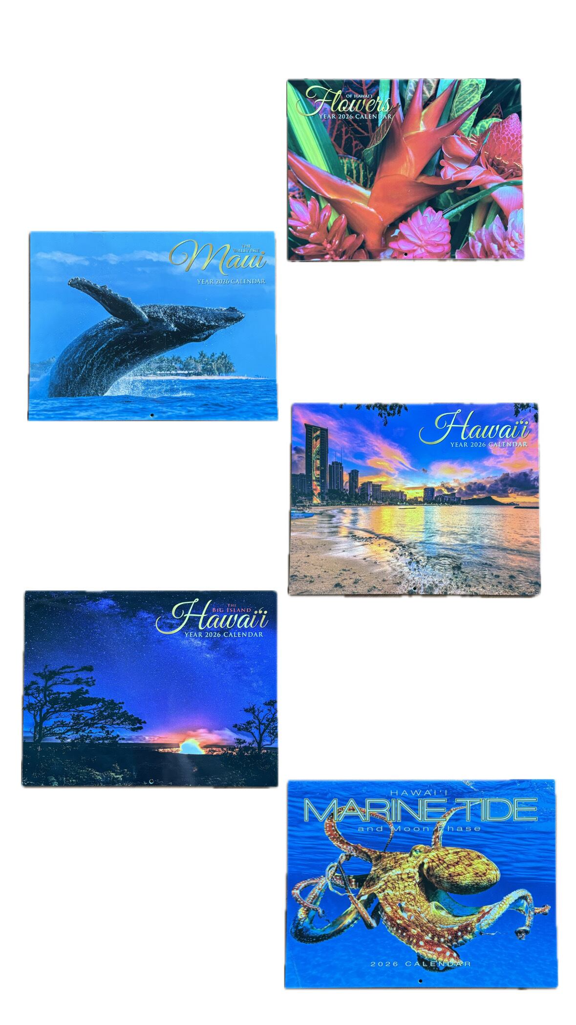 アロハコレクション/ALOHACOLLECTION】16 INCH KEEP IT LIGHT LAPTOP