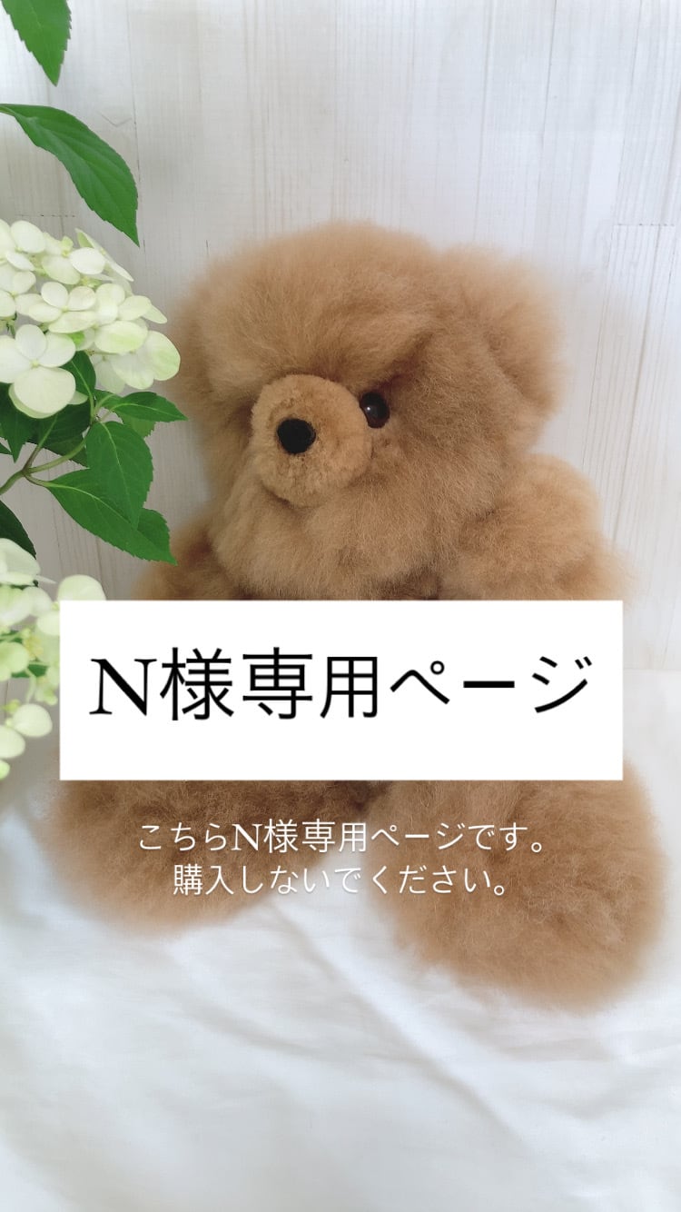 N様専用ページ N様専用ページ