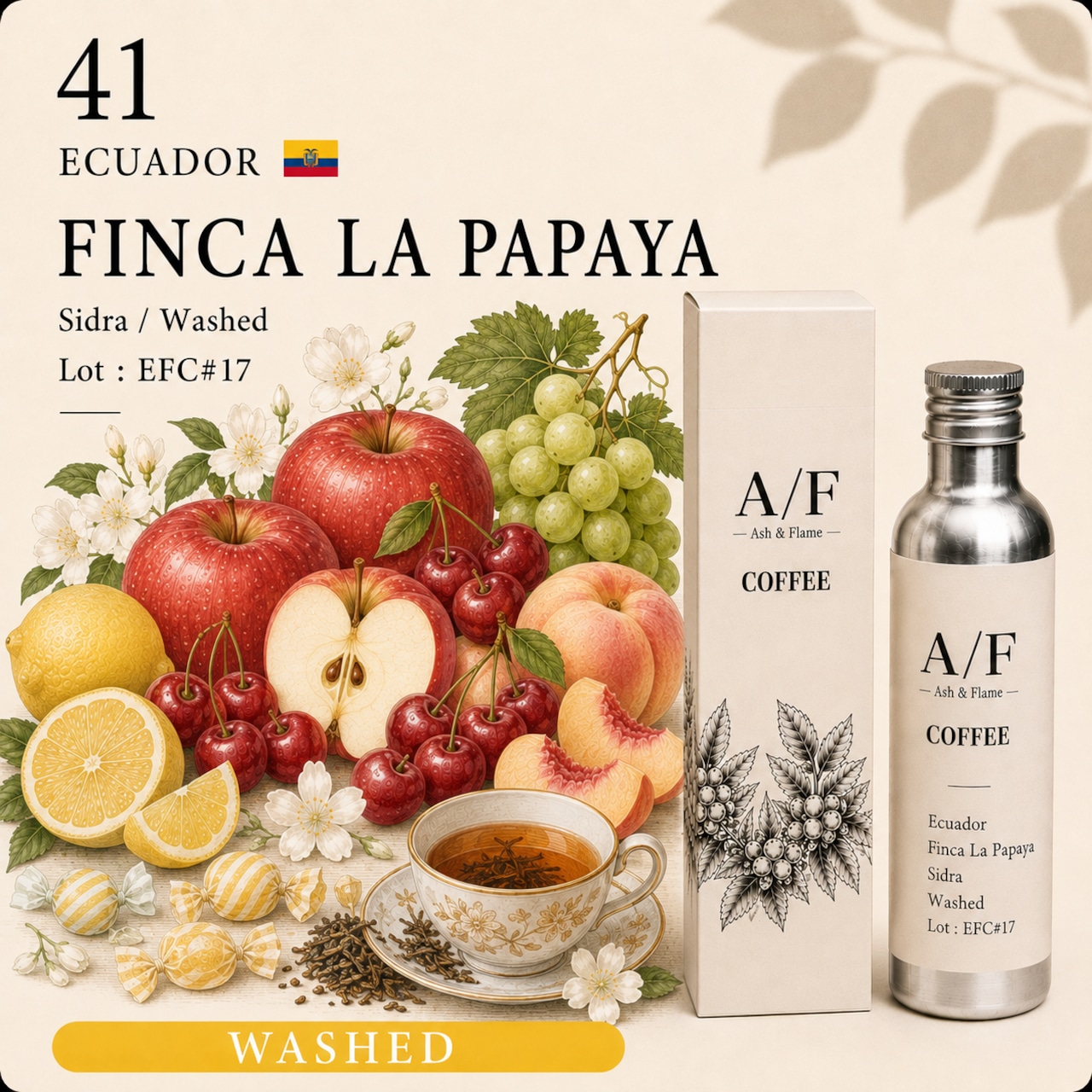 Ecuador La Papaya Sidra（Washed）EFC#17の商品写真
