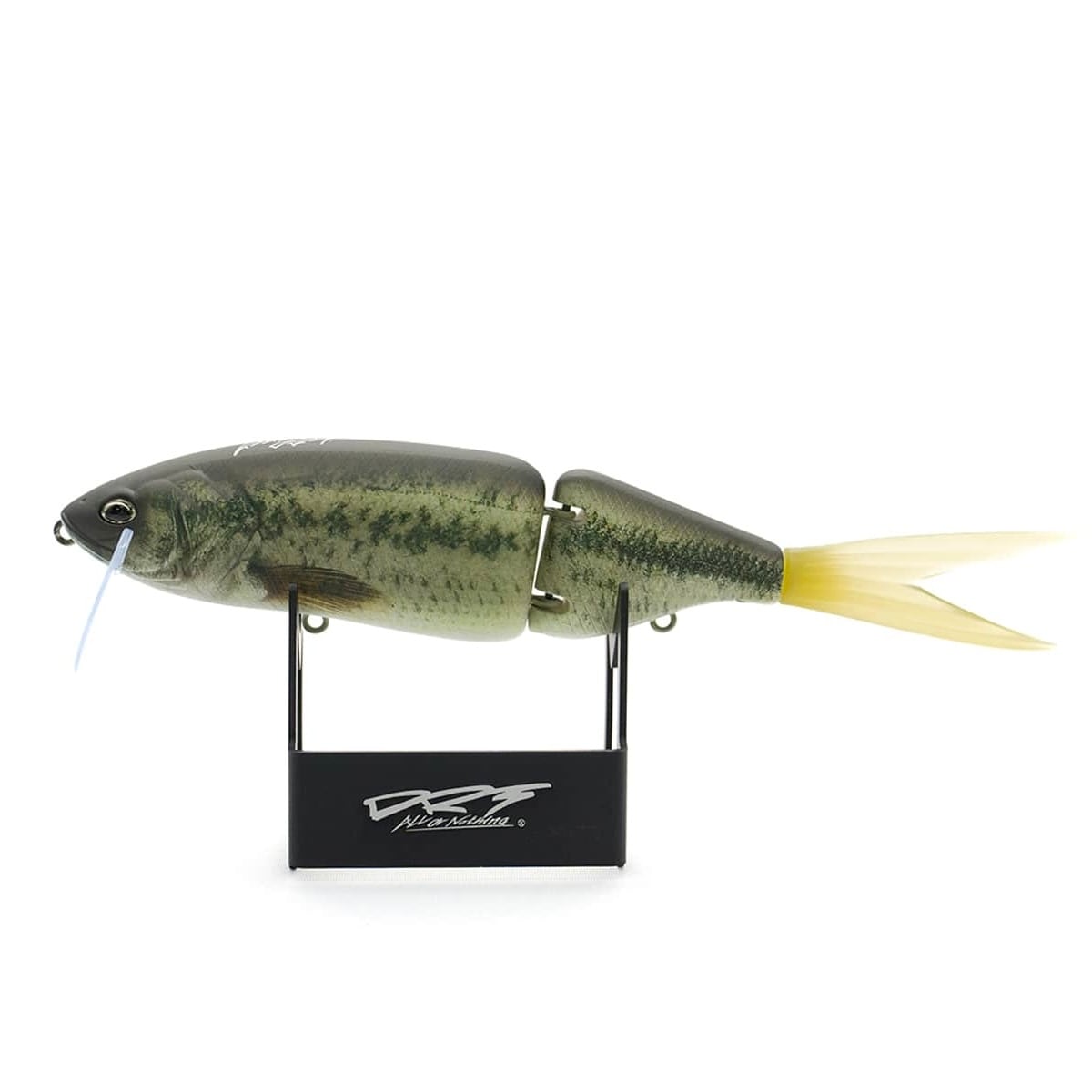 FISHING BRAND | VOIL / rigl FISHING BRAND | VOIL / rigl
