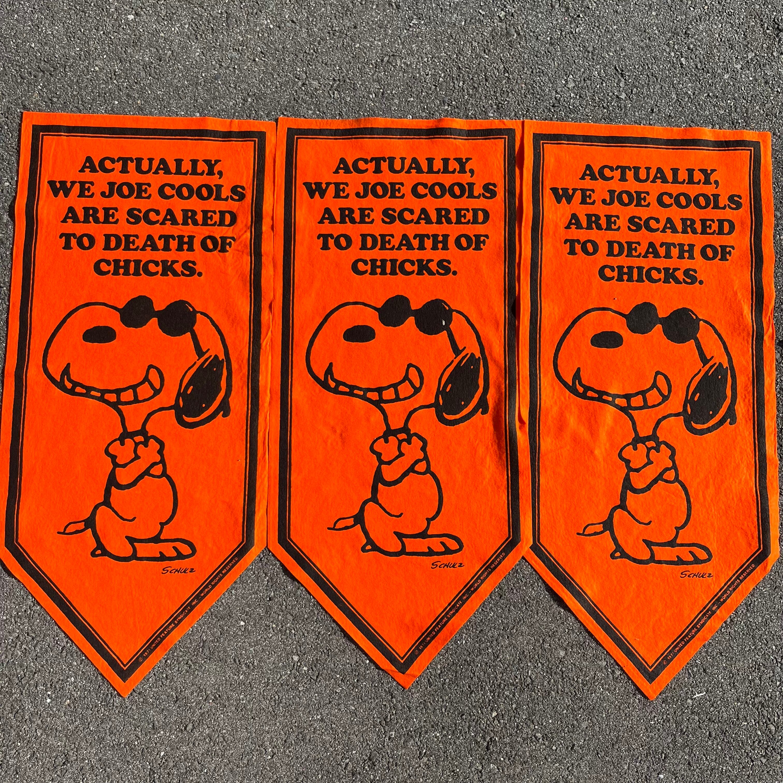 1971 PEANUTS ”Joe Cool” FELT PENNANT