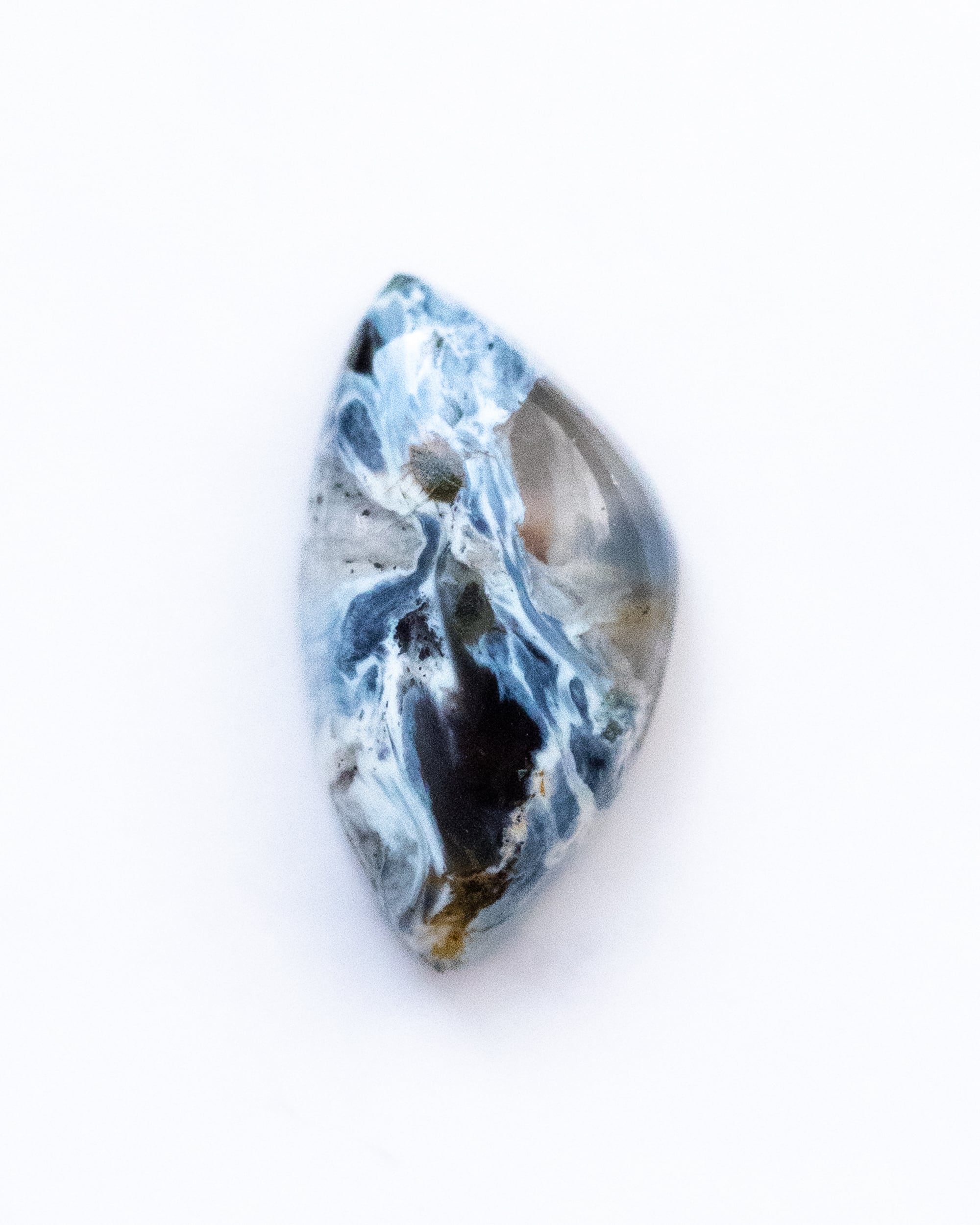 FU♡ページ ブルーピーターサイト/O200-626 | fugue(フーガ)