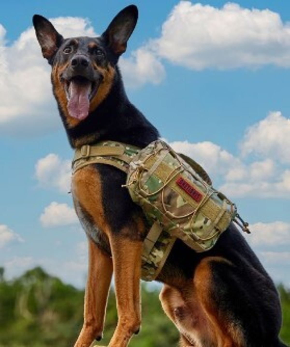 MAMMOTHドッグパック(L)マルチカム DogFancier