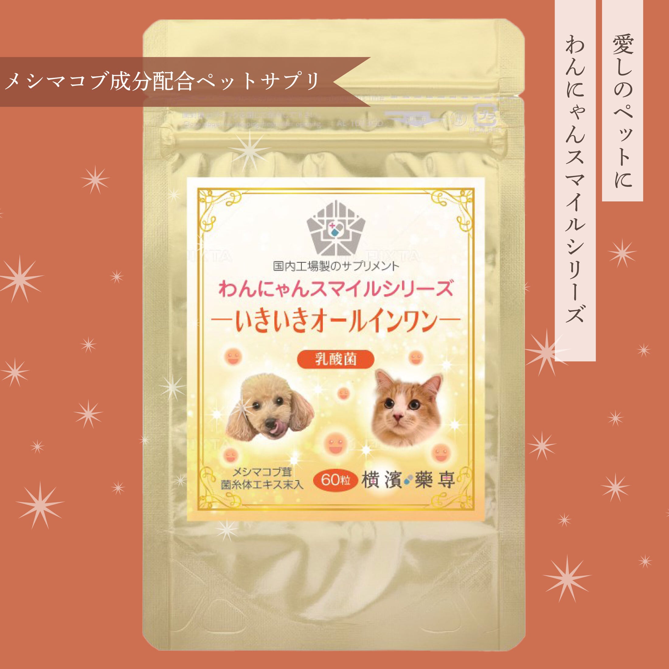 定期便】わんにゃんスマイルシリーズ きらきらアイズ（ビルベリー