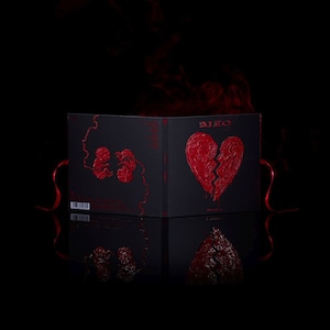 【Blu-ray付初回生産限定盤】King Gnu「AIZO」CD+Blu-ray