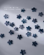 ひらり舞う【夜桜色】