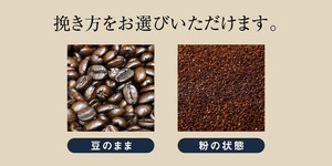 32 コーヒー 青海スペシャリティ珈琲 グァテマラ オリエンテナチュラル 500g