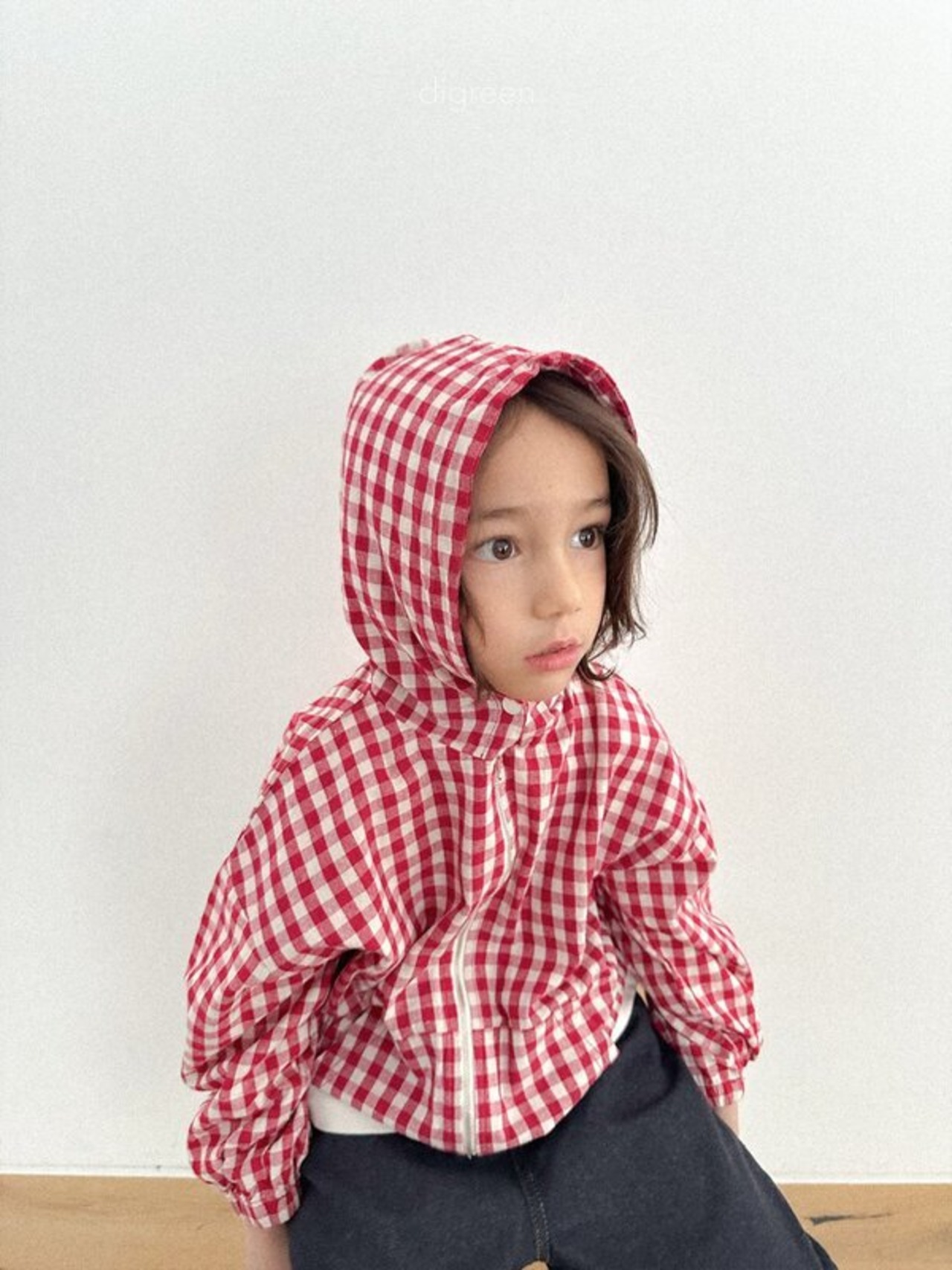 digreen 26/SS ボードフードジップアップ