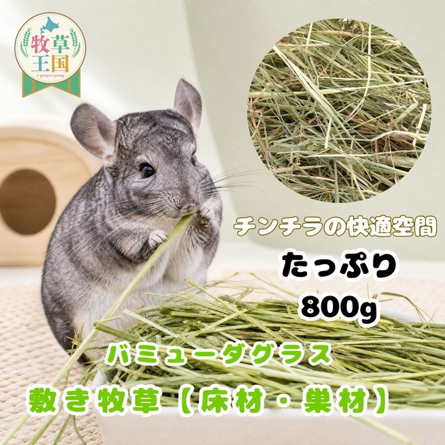 牧草王国 チンチラ 敷き牧草 バミューダグラス 800g