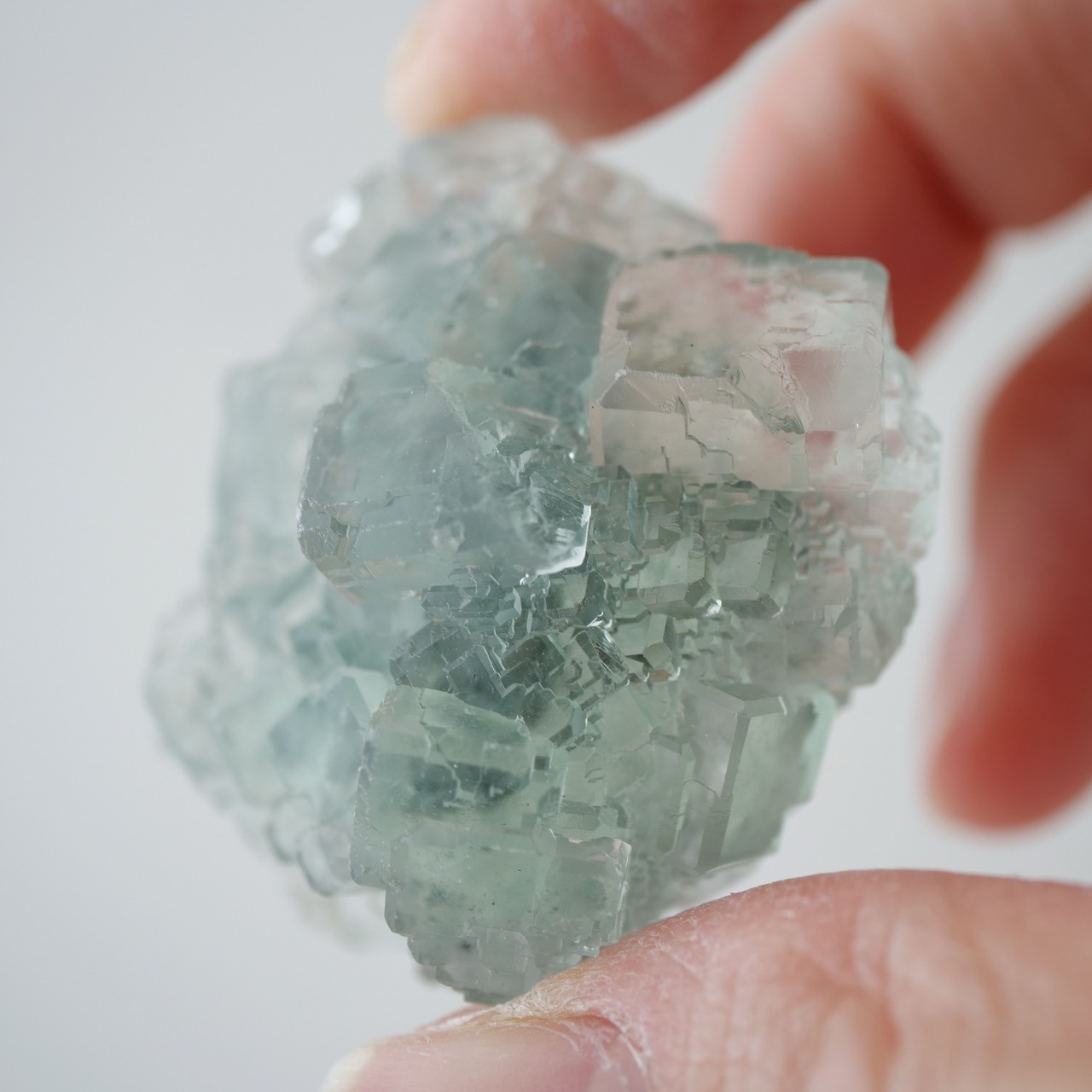 シャンファーリン産 フローライト / グリーン / 原石 標本