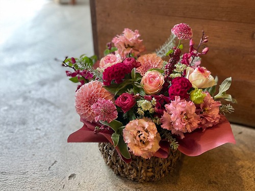 御祝に人気！！「ラズベリーパイ」【アレンジメント】