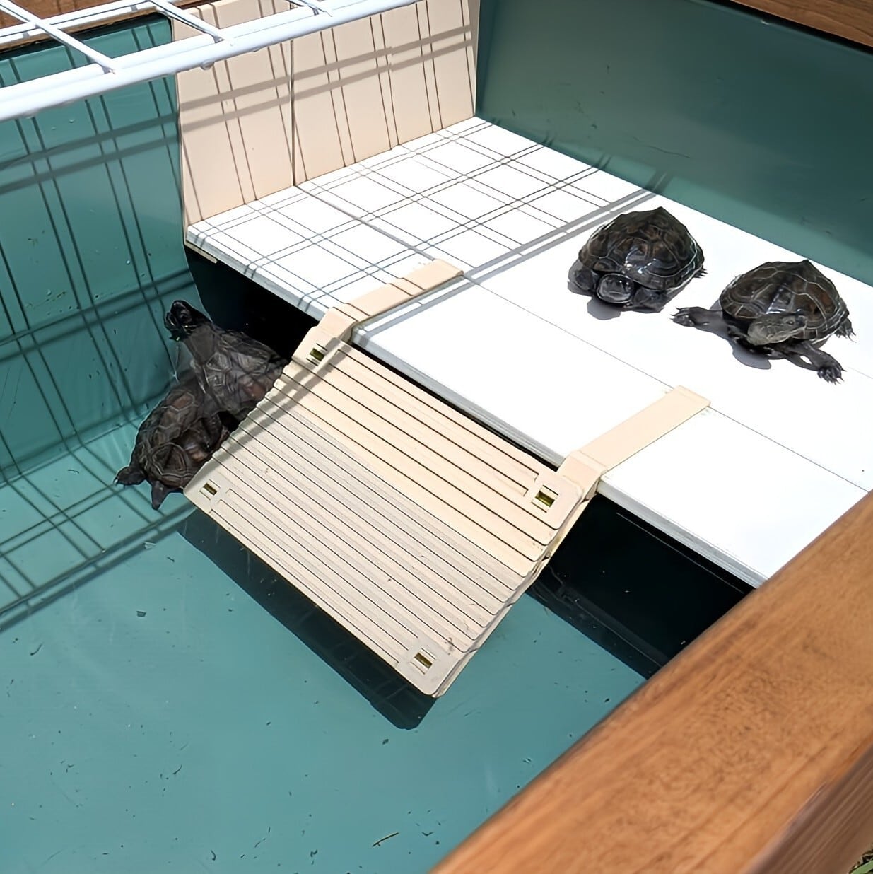 スロープ20cm】プラ舟G130深用カメの陸地 | センターテイル