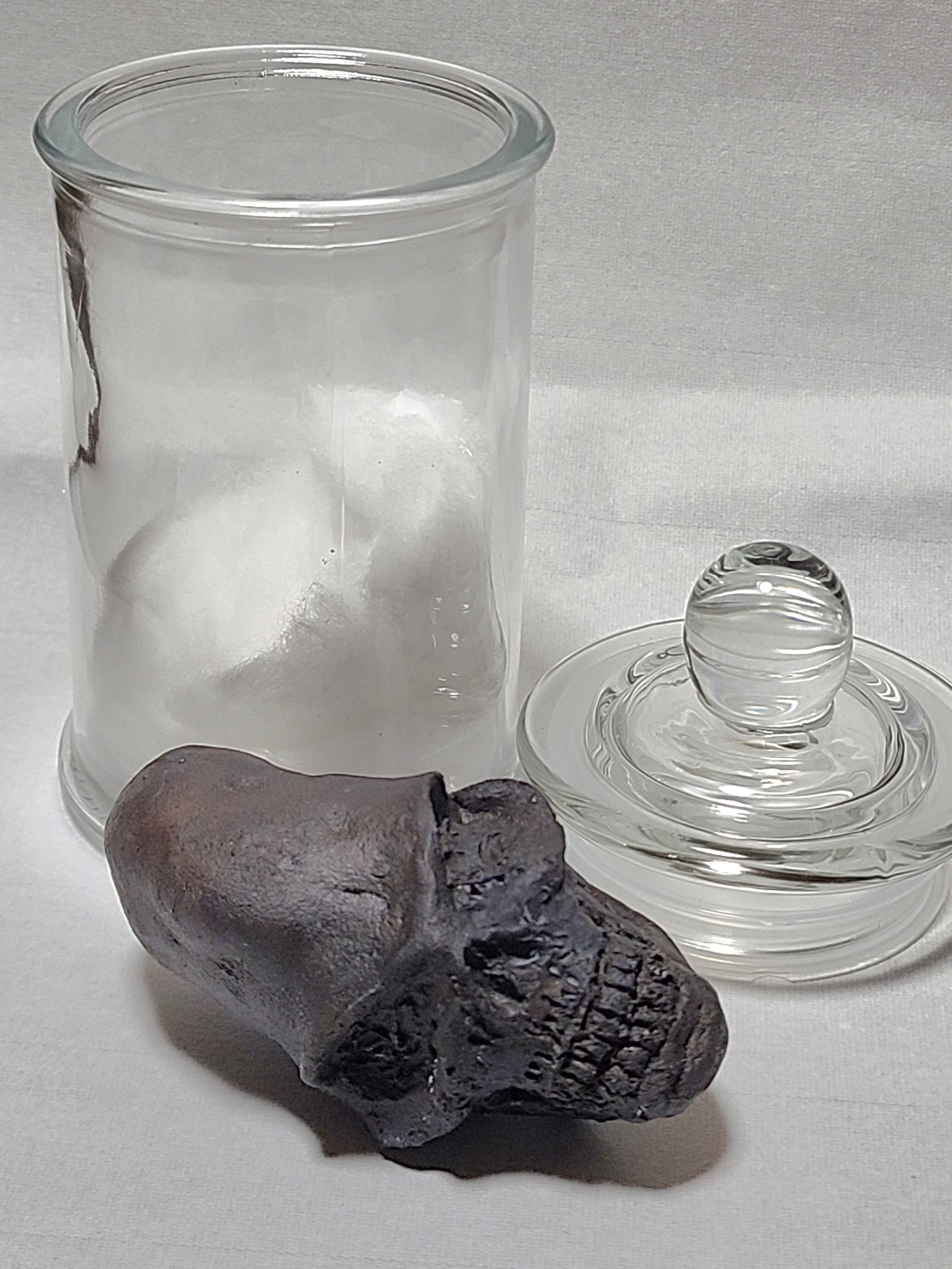 永野蟲 NN-00 寄生型怪奇蟲 怪奇標本 イ―502 | Pay ID