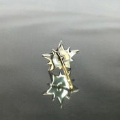 10P STAR STUD with SAPPHIRE / 10ピークス スターピアス・サファイア