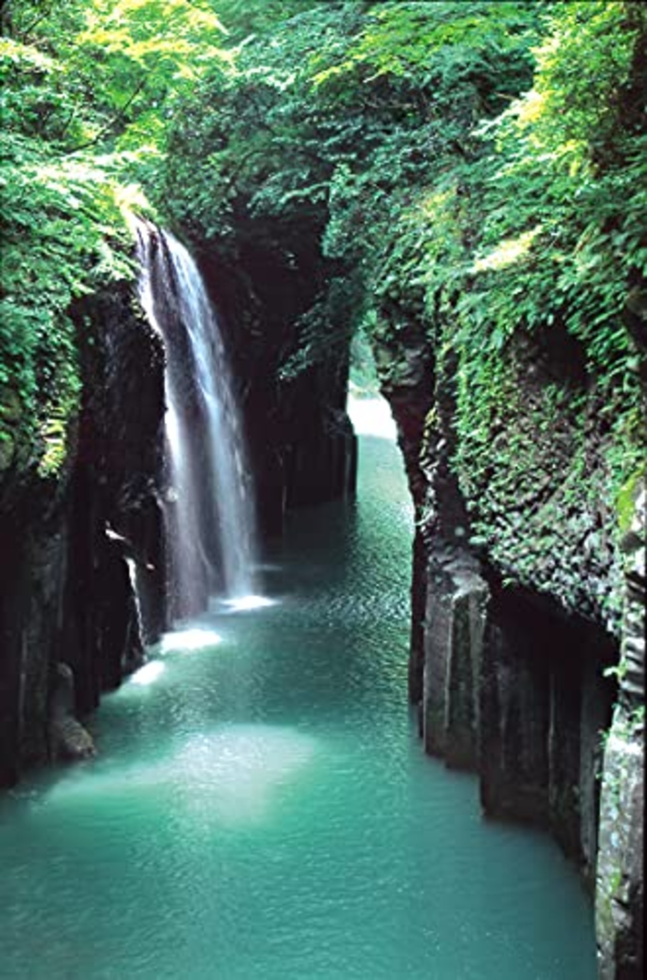 [ヤマエ食品工業] 高千穂峡つゆ うまくち かつお味 蜂蜜入り 500ml