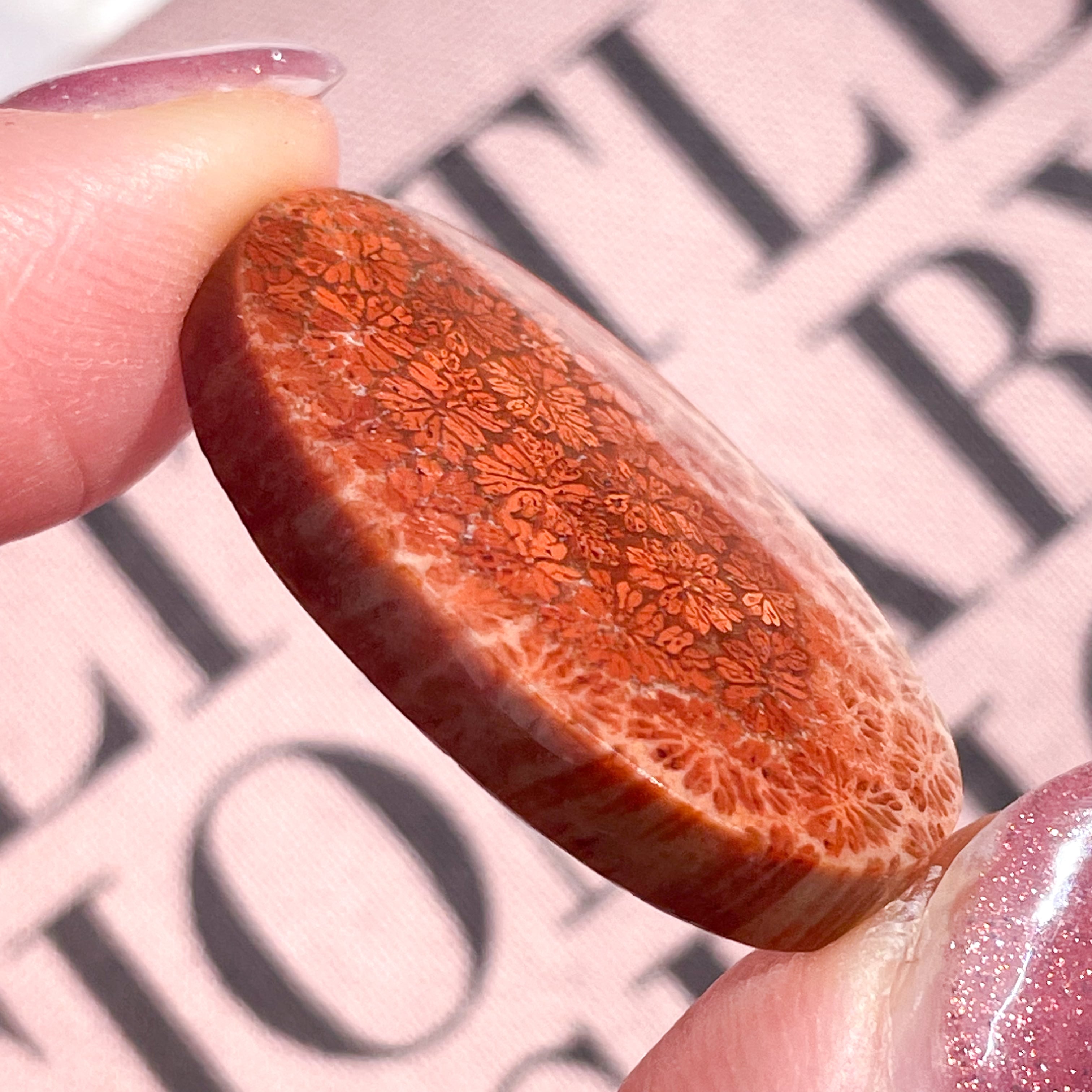 e633715362ae9d9d15659648b70b27