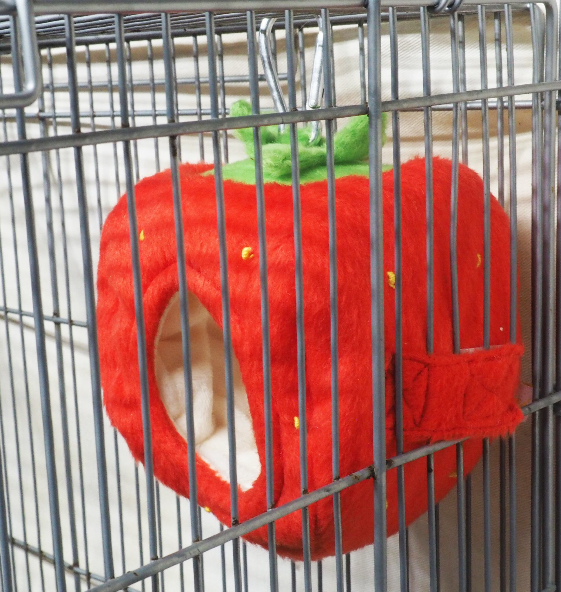 【小動物用品】もりもりフルーツポット 3点セット