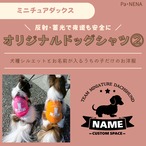 反射,蓄光素材あり！　オリジナルドッグTシャツ(ミニチュアダックス)