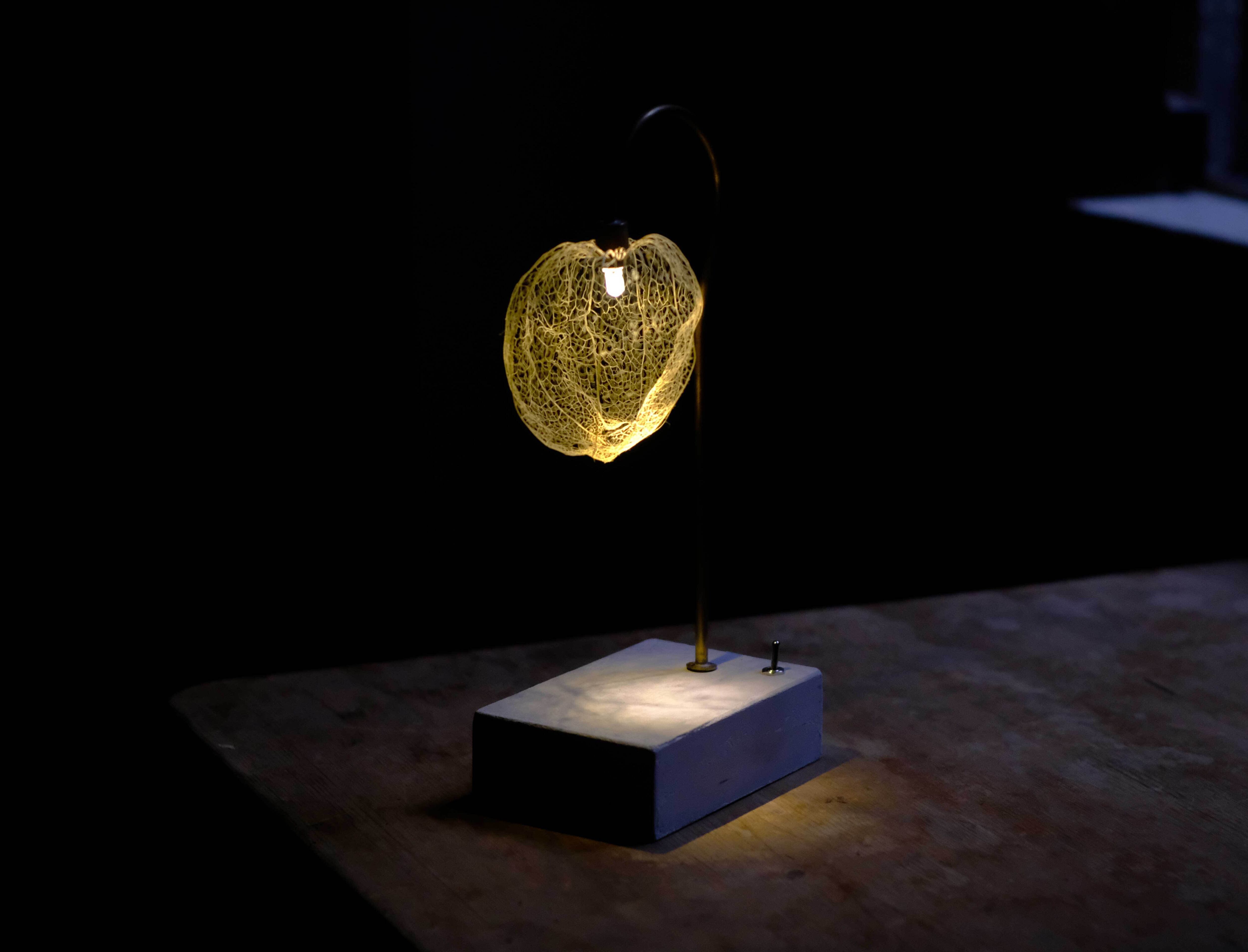 はいいろオオカミ＋花屋西別府商店　鳥 4月1日-4月30日｜はいいろオオカミ＋花屋西別府商店「いつか、どこかで