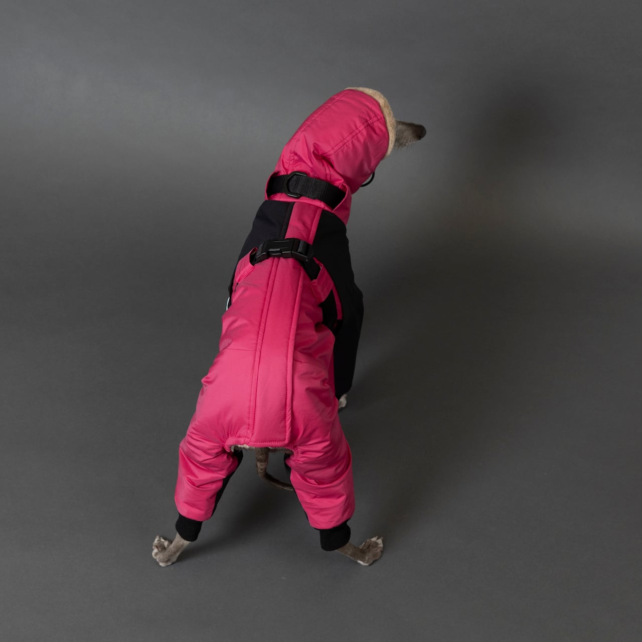 ボンバーヒートジャケット2024 rose × black / イタグレ服 | イタグレ