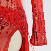 社交ダンス 衣装 タカダンス TAKADANCE ラテン ドレス ワンピース 赤 フリンジ デモ 競技 レース 発表会 パーティ レッド系 競技用ドレス パーティドレス フリンジデザイン 鮮やか 赤いドレス ラテン衣装 ダンス衣装 女性 衣装発表会 デモ用衣装 透け感 おしゃれ 社交ダンス用