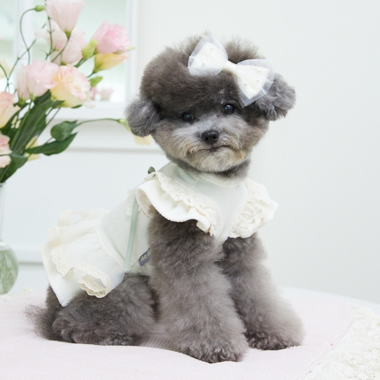 即納　【iloilo】Audrey onepiece (cream)