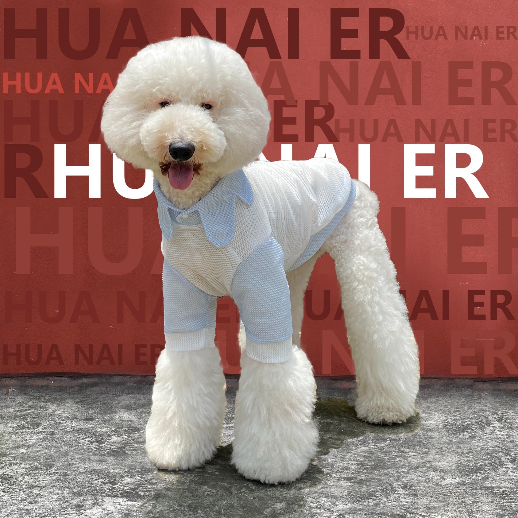 重ね着風さわやかワンピ/XXS〜M/犬服/犬服ハンドメイド