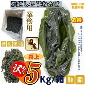 訳あり　宮城・三陸小渕浜産　特上　湯通し塩蔵わかめ　業務用：５Kg /箱　産地直送　送料無料