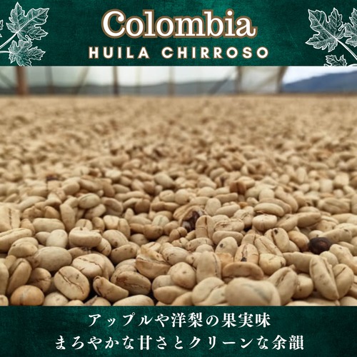 コロンビア【 ウイラ チロソ 】 画像