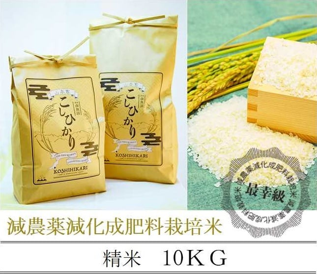 減農薬栽培 〈令和5年産〉南魚沼産コシヒカリ 精米10kg | yamamotoke-store