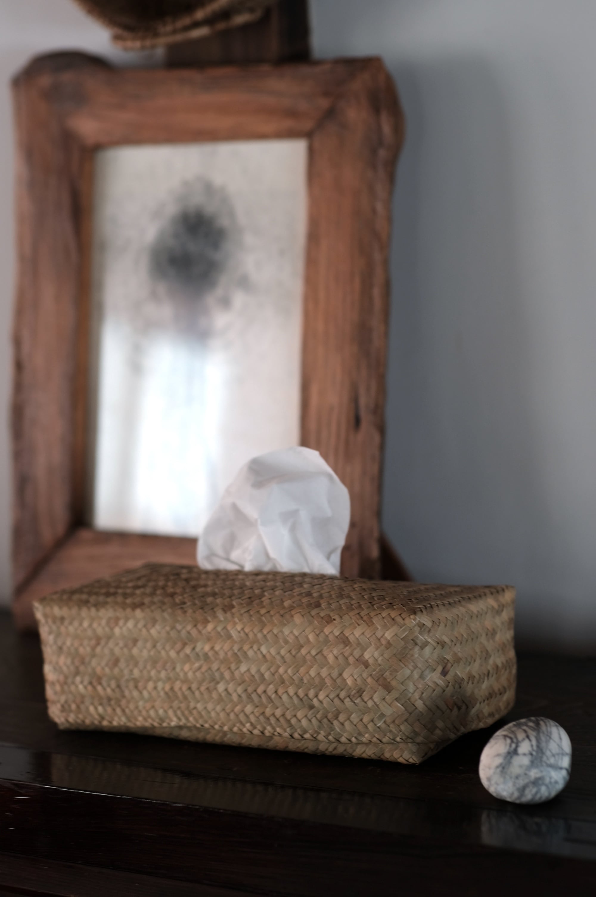 くらし/huuhuuonlinestore 水草ティッシュケース