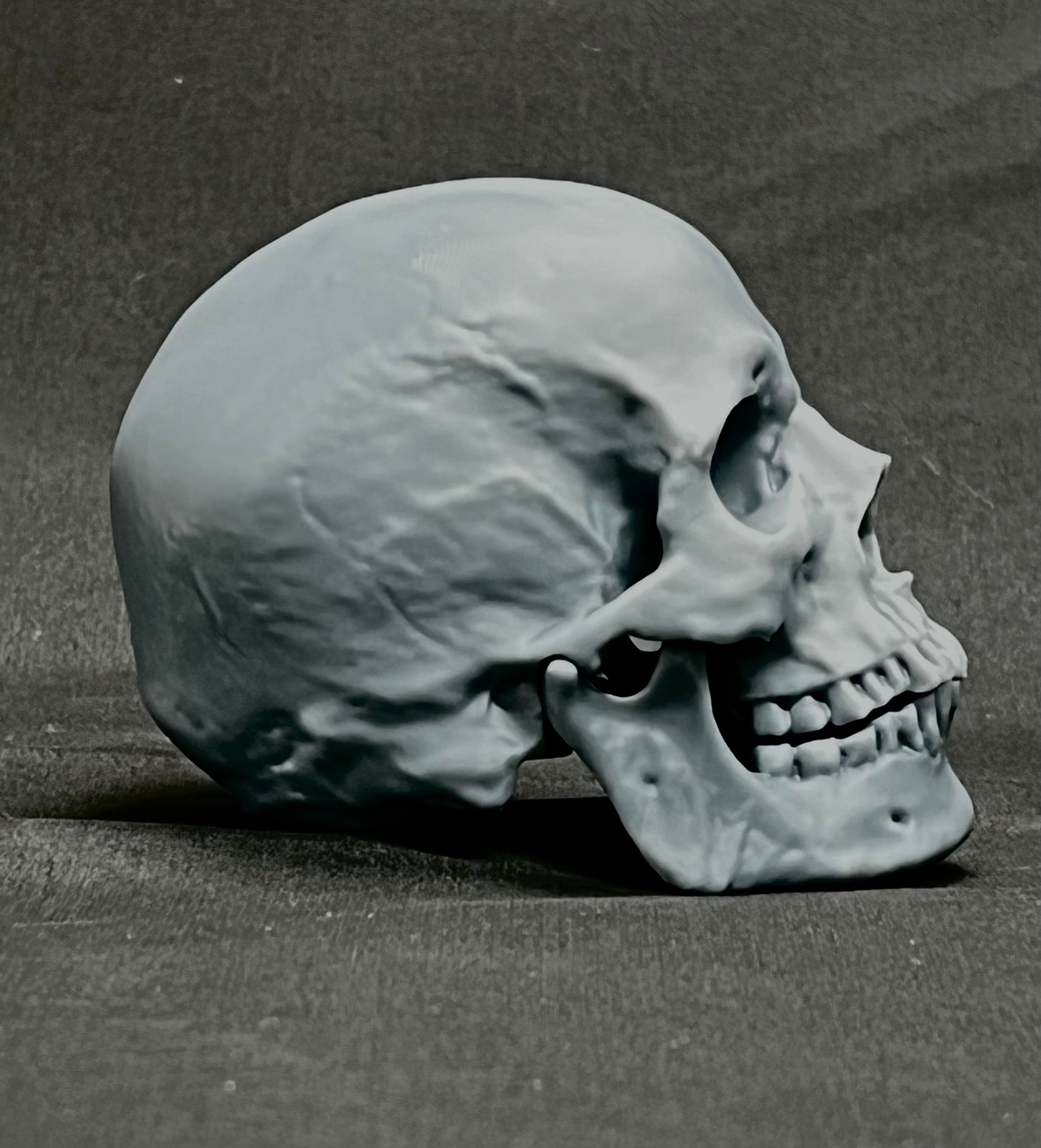 スカル（3Dプリンター出力品） | Pay ID