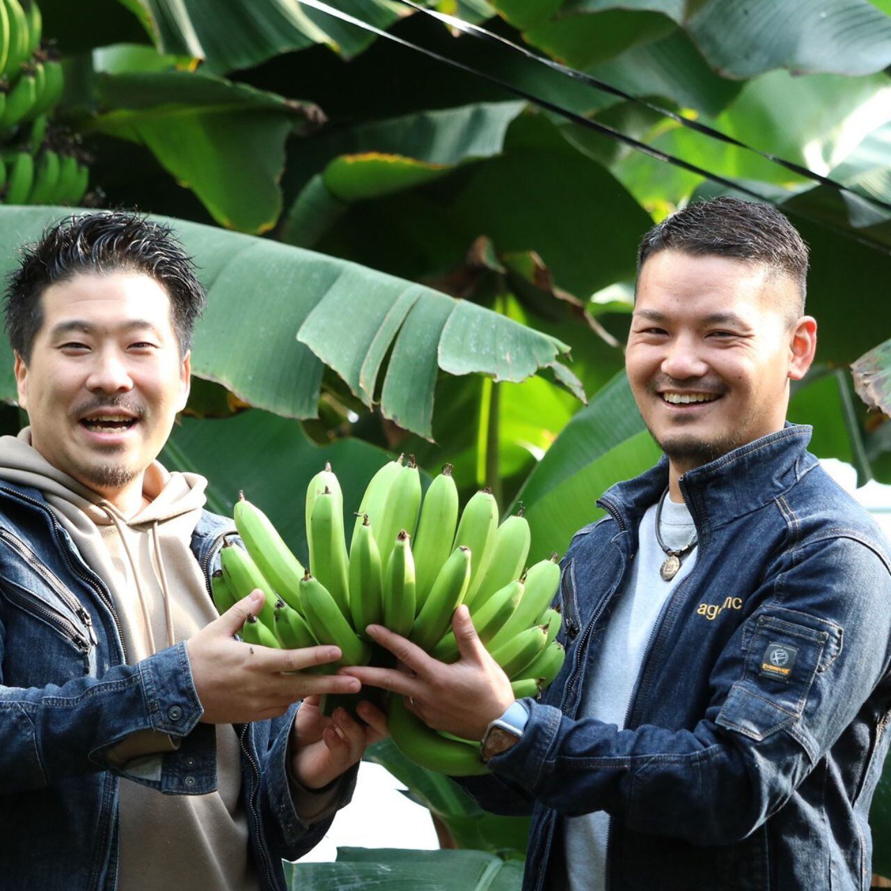 はんなりばななジェラートBOX 3種6個入り | 京都はんなりばなな