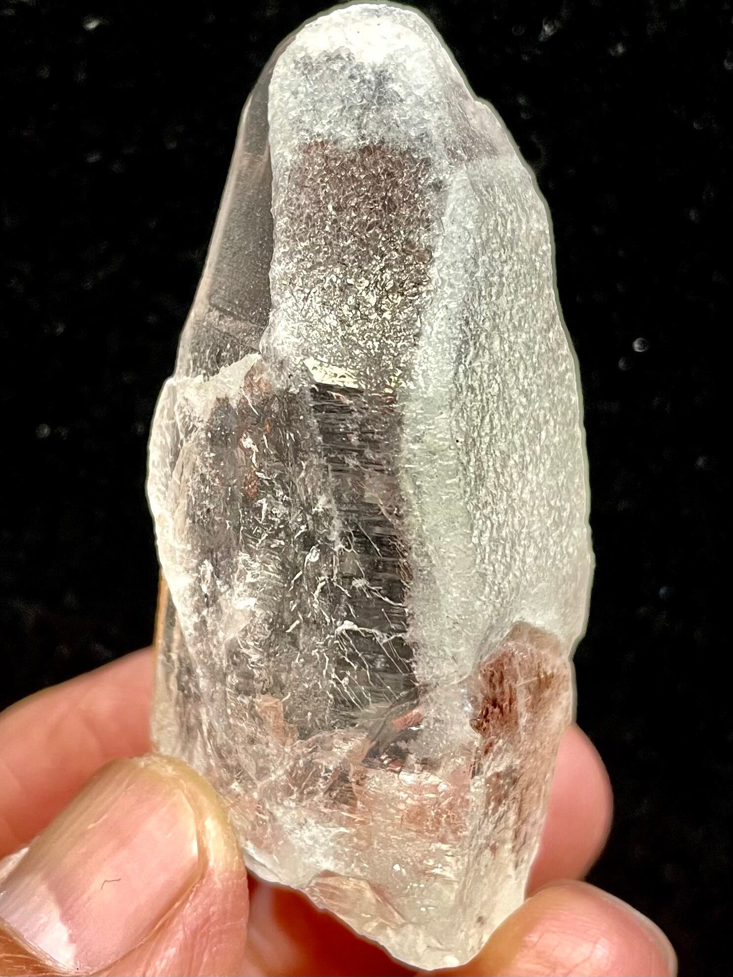 9) レムリアン・シード「ドリーム・シクル」中型