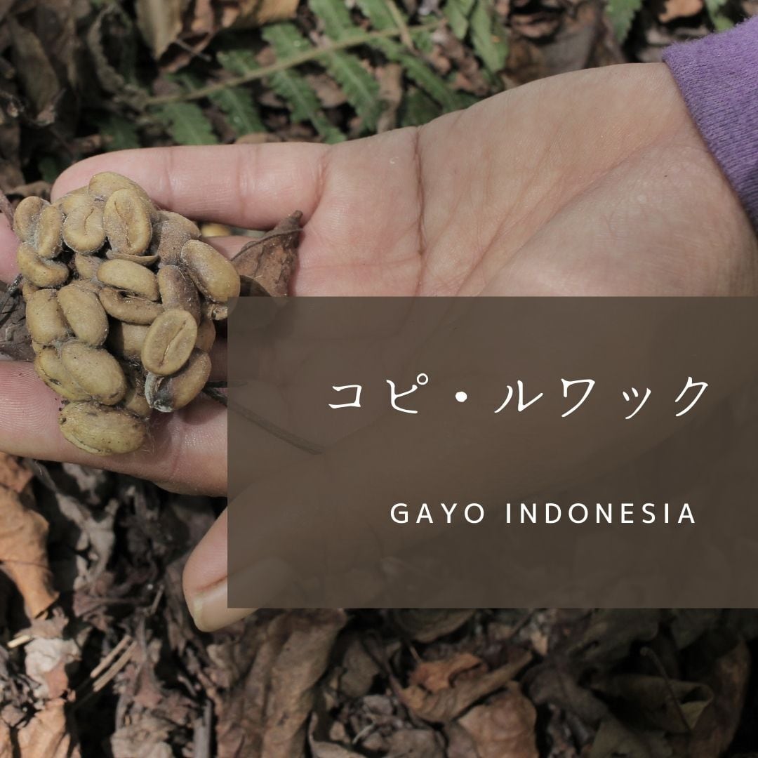 インドネシア【ジャコウネコ】コピ・ルワック 100g | unknown coffee