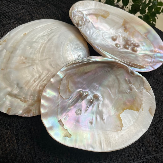 アクリル画 『知路~shiro~』 アクリル画 『知路~shiro~』