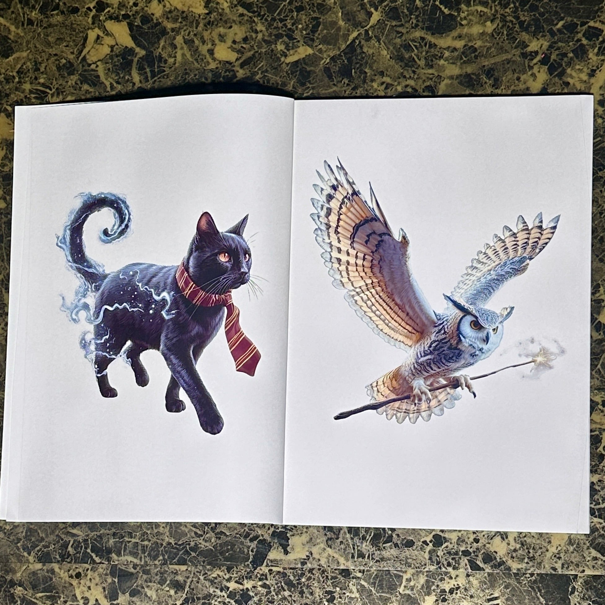 魔法の絵本 | マジシャン先生オフィシャルグッズショップ